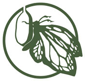 Berkeley summer camps